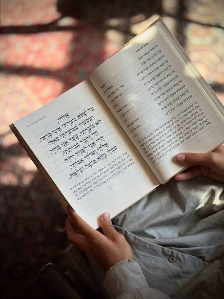 WhatsApp Image 2025-12-07 at 14.18.40 (2)