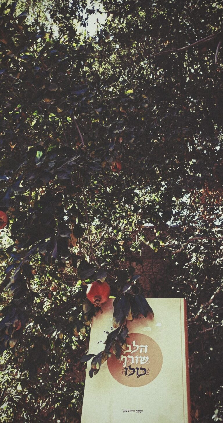 WhatsApp Image 2025-12-09 at 21.27.37